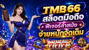 TMB66